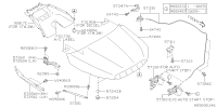 57229SG0009P-HOOD CP F
