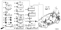 32170TRNH00-CORD, RR. ANC SUB