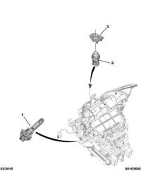 6436L6-Sensor, evaporator
