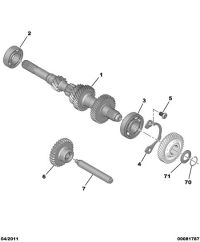 9808005580-Gear, mnl rvs