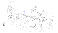 240303TS0B-HARNESS-SUB,LAMP
