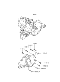 4300028723-TRANSMISSION ASSY, MANUAL