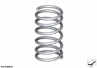 31338098748-Spring, coil fr