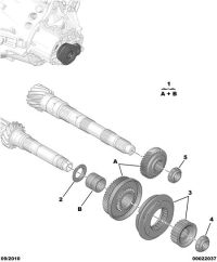 2344E4-Gear
