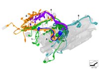 12518743493-Wiring harness