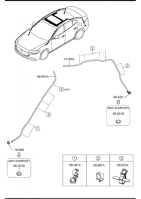 BELN69922-HOSE,DRAIN-REAR