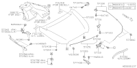 57229FJ0009P-HOOD CP F