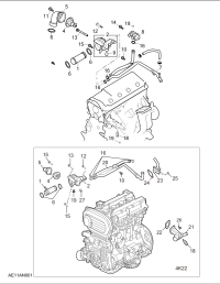 SMW251452-Hose, thermostat case