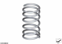31338098752-Spring, coil fr