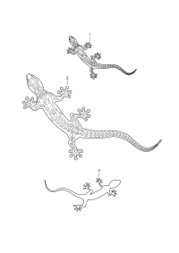 4M0064317A-Protector no.1, egecko: