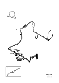 31364119-CORD,SHORT