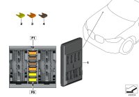 61359439002-Domain comp., body BDC
