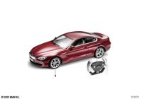 80432318513-BMW model RC F13 1:14