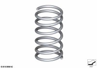 31338098750-Spring, coil fr