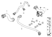 17123424499-Coolant hose