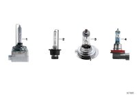 63112338064-Lamp (BMW)