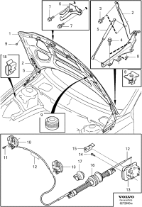 30796490-PLUG