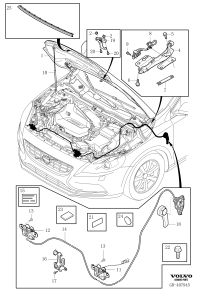 31424258-PLUG