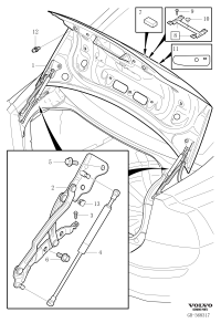 31335491-LID,TRUNK