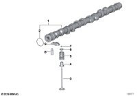 11317563665-CAMSHAFT,EXHAUST