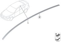 51137259919-Mldg roof paint lh