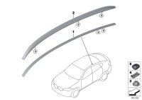 51137414231-Mldg roof paint lh