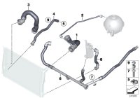 17127646150-Coolant hose