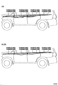 759810G110-STRIPE, FENDER, RH