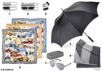 80272353737-Key fob-twin wing, BMW