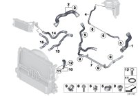 17127612444-Coolant hose