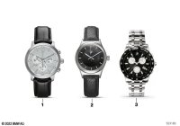 80262311778-Meter-mens watch BMW