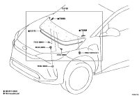 757720R010-Moulding, hood, rear