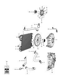 68211603AB-(F)HOSE RADIATOR OUTLET
