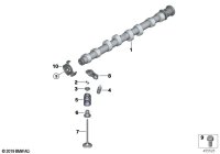 11317618822-CAMSHAFT COMP,INTK