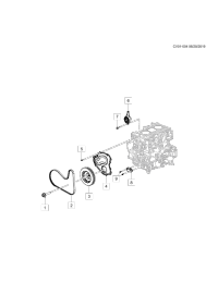 12695824-Belt, accessory drive main