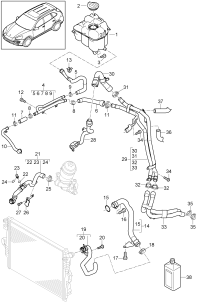 95810640250-Coolant hose