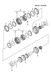 24517046-Spring-primary & secondary