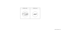 28821FE141-CENTER CAP ASSY