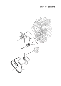 24563026-BELT,ACG