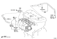 2382025030-HOSE, FUEL VAPOR FEED, NO.1