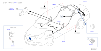 240936W80A-Harness-angle sensor, rear