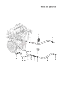 24547974-HOSE, HEATER WATER, OUTLET