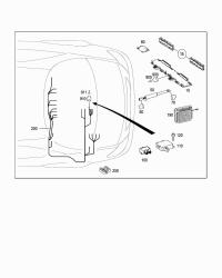 2165405307-CORD,SHORT