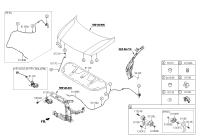 81130A7610-LATCH ASSY HOOD